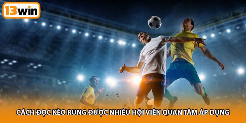 Cách đọc kèo rung được nhiều hội viên quan tâm áp dụng